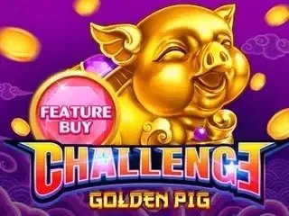 Challenge Golden Pig Buyspin